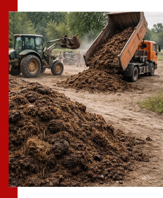 Доставка навоза самосвалами в Коломне для сельхозпотребностей